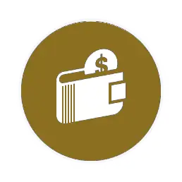 100% secure payments