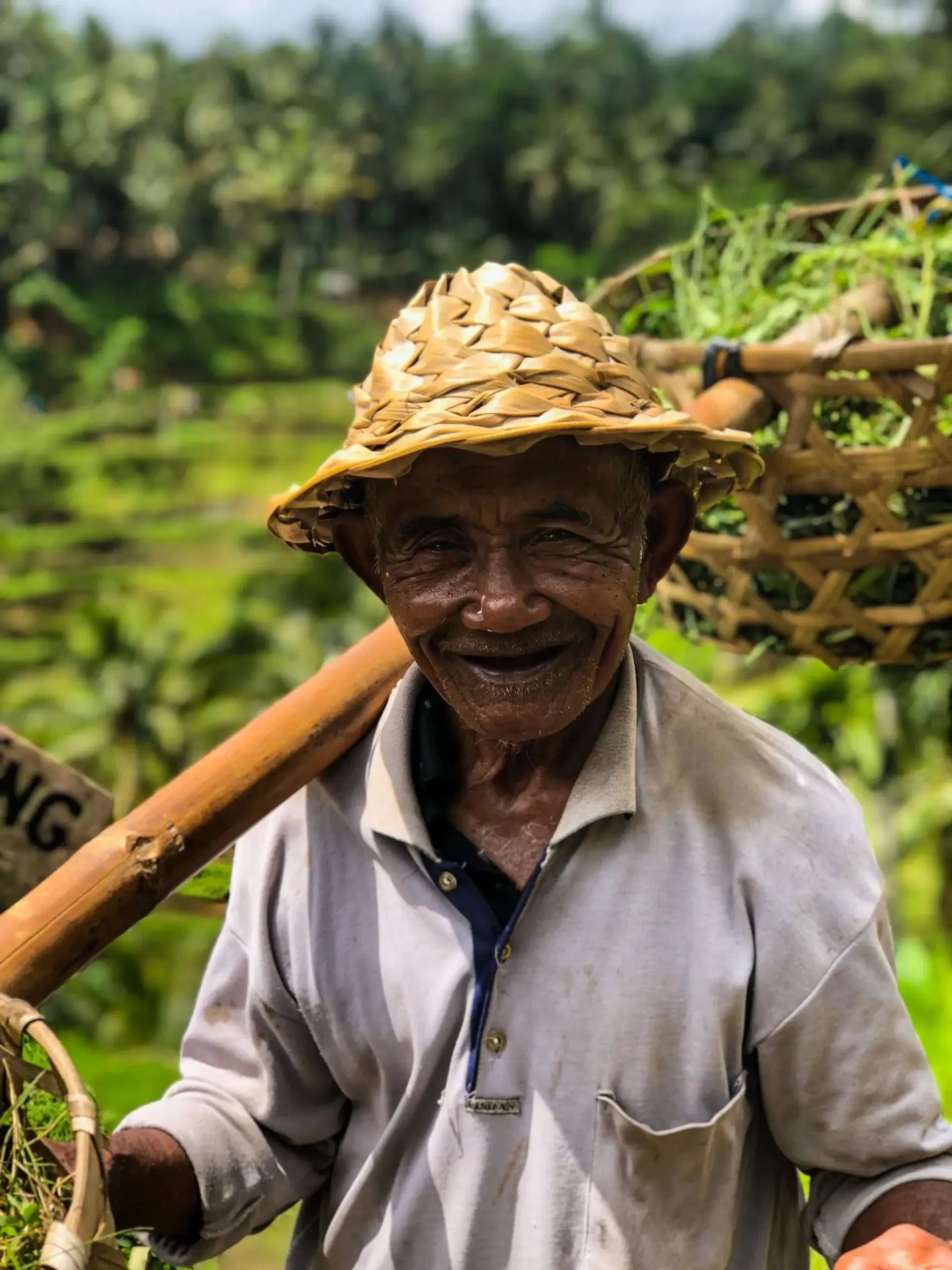Balinese rice farmer