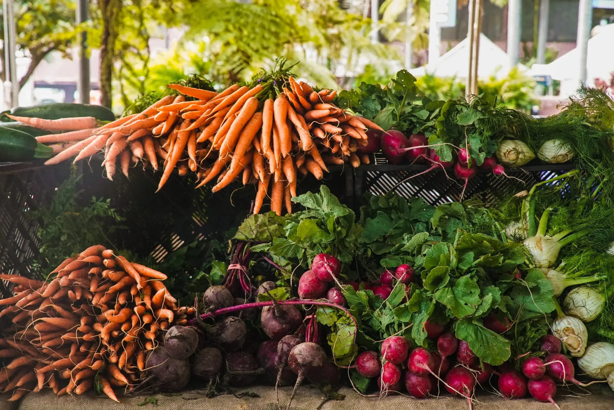 bunches of radishes and carrots for the bali vegan book